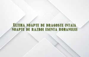 Ultima noapte de dragoste intaia noapte de razboi esenta romanului